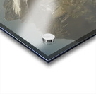 Albert Bierstadt 31 Acrylic print