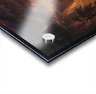 Albert Bierstadt 47 Acrylic print