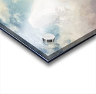 Albert Bierstadt 49 Acrylic print