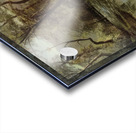 Albert Bierstadt 6 Acrylic print