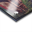 Albert Bierstadt 20 Acrylic print