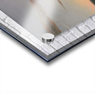 Albert Bierstadt 22 Acrylic print