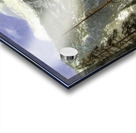 Albert Bierstadt 41 Acrylic print