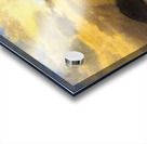 Albert Bierstadt 44 Acrylic print