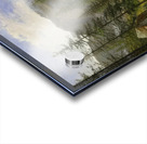 Albert Bierstadt 47 Acrylic print