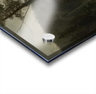 Albert Bierstadt 57 Acrylic print