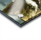 Art by George Bellows 53 Acrylic print