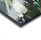 George Bellows 11 Acrylic print