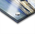 George Bellows 16 Acrylic print