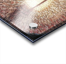 Artwork by Giacomo Balla  25 Acrylic print