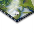 Artwork by Giacomo Balla  26 Acrylic print