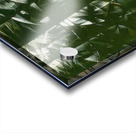 Artwork by Giacomo Balla  30 Acrylic print