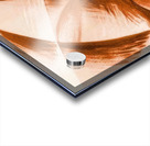 Artwork by Giacomo Balla  41 Acrylic print