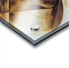 Artwork by Giacomo Balla  44 Acrylic print