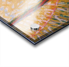 Artwork by Giacomo Balla  9 Acrylic print