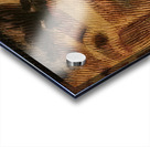 Artwork by Giacomo Balla  30 Acrylic print