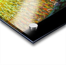 Artwork by Giacomo Balla  42 Acrylic print