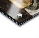 Edouard Manet  3 Acrylic print