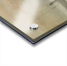 Edouard Manet  17 Acrylic print