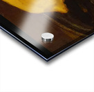 Edouard Manet  30 Acrylic print