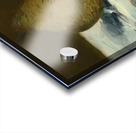 Edouard Manet  33 Acrylic print