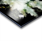 Edouard Manet  35 Acrylic print