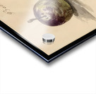 Edouard Manet  41 Acrylic print