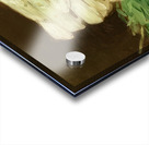 Edouard Manet  47 Acrylic print