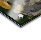 Edouard Manet  48 Acrylic print