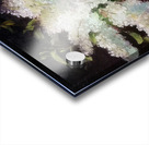 Edouard Manet  49 Acrylic print