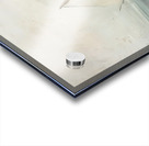 Edouard Manet  51 Acrylic print