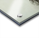 Edouard Manet  56 Acrylic print