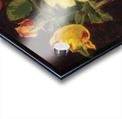 Edouard Manet  7 Acrylic print