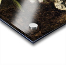 Art by Auguste Renoir 11 Acrylic print