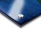 Mark Rothko 6 Acrylic print