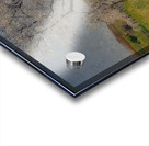 Achille Lauge Art 22 Acrylic print