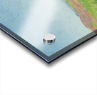 Achille Lauge Art 29 Acrylic print