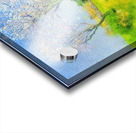 Achille Lauge Art 49 Acrylic print