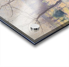 Achille Lauge Art 1 Acrylic print