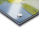 Achille Lauge Art 9 Acrylic print