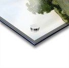 Arthur Wesley Dow 33 Acrylic print