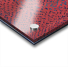 Alma Thomas 39 Acrylic print