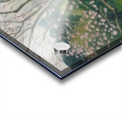 Albert Marquet  32 Acrylic print