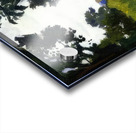 Albert Marquet  57 Impression Acrylique