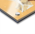 Paul Nash 12 Acrylic print