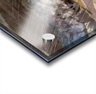 Paul Nash 36 Acrylic print