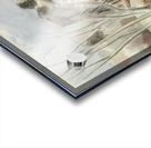 Paul Nash 31 Acrylic print