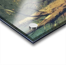 Paul Nash 54 Acrylic print