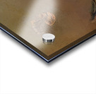 Paul Nash 75 Acrylic print