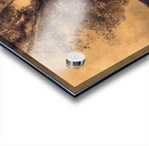 Odilon Redon 11 Acrylic print